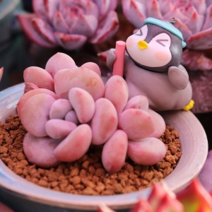 ��^(q��)�W(w��ng)�ѕ���Լ��B(y��ng)�Ķ��� ��B(t��i)����Ŷ