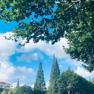 APP�W�ѷ���Ȧ�S�ģ���׽�����е�С����