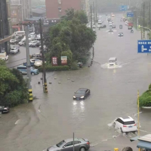 ����@Щ�eˮ�����������Sɫ�A����