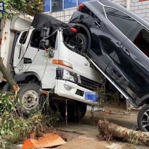 21�����y 4��ʧ �� �����S�h����������O�����