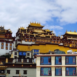 �W(w��ng)�����ģ�������� ������ٝ����