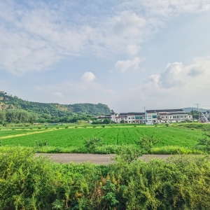 APP�W�ѷ���Ȧ�S�ģ��f���� �L����