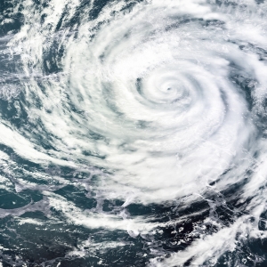 12̖�_�L(f��ng)���ˣ�����������...