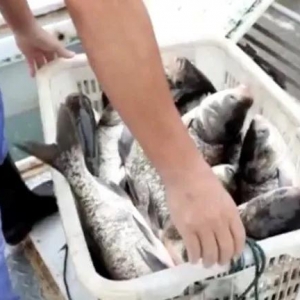 ϲ�g���~�����т� ����~���ۃr(ji��)���ˆ᣿