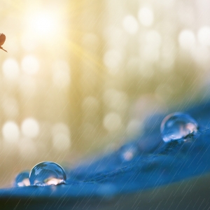 �����n�n ��¶��˪~���ڽ��� 17�r(sh��)52�֣�