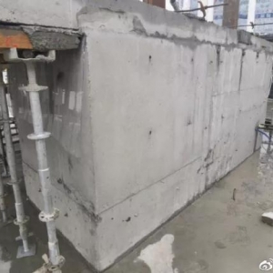 ��ꎾ����L(zh��ng)�������ܘ�(g��u)ʼ�l(f��)����һģ��(c��)���������