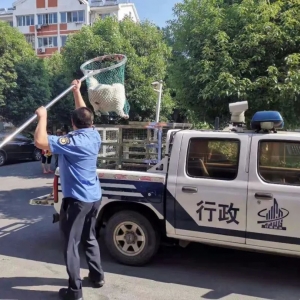 ��ꎶ���悽��_չ��Ȯ��������