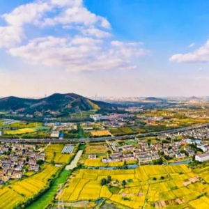 ���9����ʡ����Σ���ȥ�^�ׂ���