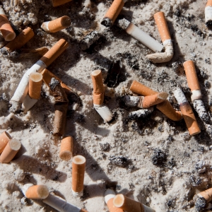 ����ע�������^���Q��Ӂ���