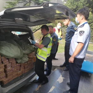 ������״β�̎���P�ڿ��f��^����