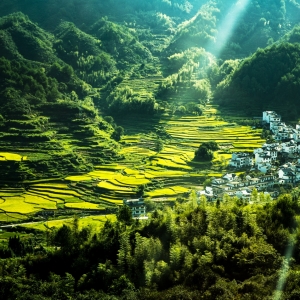 �W���������箋��������Դ��X