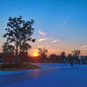 APP���x�DƬ������������L��������Ų�