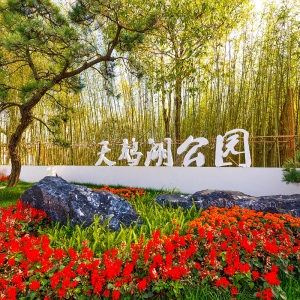 �����ĳ�о��Ʒ�������B���y���У�