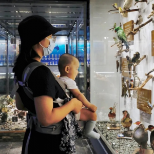 �����һ���W�t���c���ˣ�