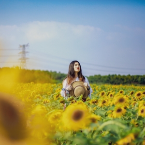 APP�W(w��ng)�шDƬ�������Ƶ��L��P ��ɫ�ɷ��L