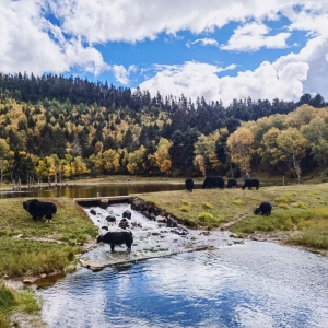 �W�ч��c�����L���� ����������_��