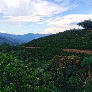 ��Ϫ֮�У���Ŀ�����hɽ�c�ƶ�