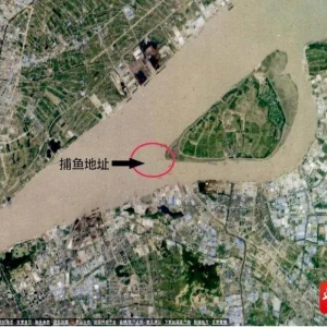 ������˔���ȥ���Ҹ۷Ƿ����ƫ@�̣�