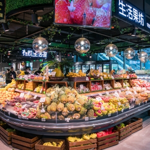 ��ꎳ������M(f��i)�ߝM����{(di��o)���(b��o)�������