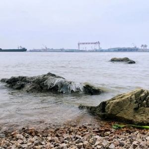 ������֏��_�ţ�