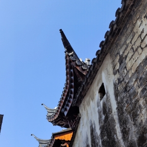 ����һ��ͽ�������Ŵ� �|ɽ�ɽۣ�