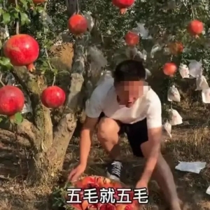 ���÷���������P(gu��n)�]��