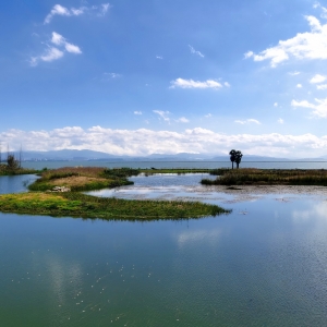 �W(w��ng)�����ģ��������S��ع��@