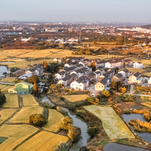 ������f�����l(xi��ng)�� �ú��ā�(l��i)ӛ䛽�ɫ��(sh��)��