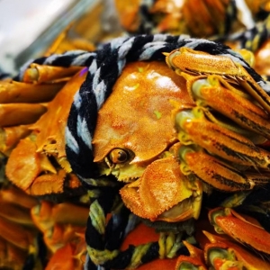 �W������ӛ��̩�ݳԻfз �������