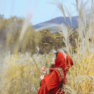 �W(w��ng)����������������������Ϣ