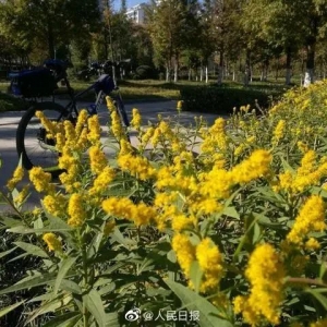 ��ꎰl�F�����ψ�·߅�����@...�����F