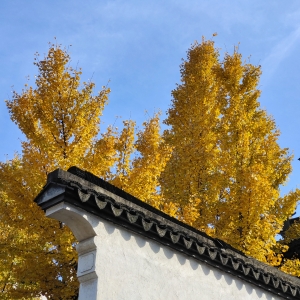 �W(w��ng)�ѳ����S�ģ���ߚ�ˬ