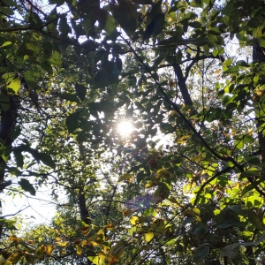 APP�W(w��ng)���S�ģ�����ů�