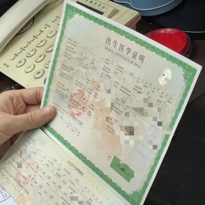 �������������P����������