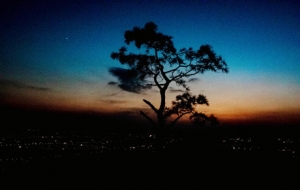 �W(w��ng)���Ĕz������ͤͤɽ����