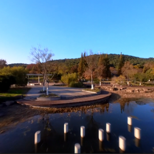 �W(w��ng)�єzӰ�������붬���L(f��ng)��