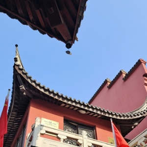 �W(w��ng)�ѷ�������������Щ���õļ�(x��)��(ji��)