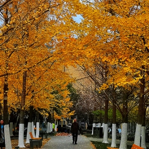 �W(w��ng)���S�ģ���ꎵ��ﾰ