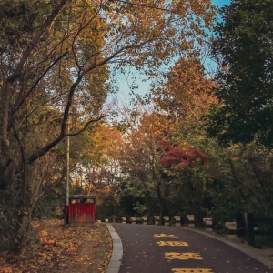 �Sɽ����(sh��)��(sh��)����ɫ ɽɽΨ�䕟