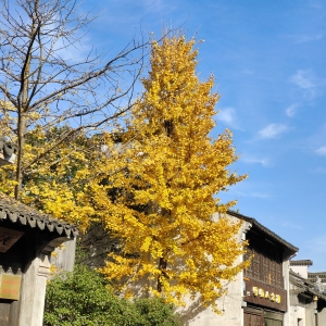 APP���x����ͩ���y���S ���������