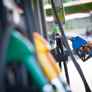 ���������� �̓rҪ��׃��