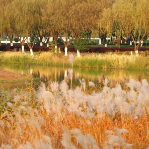 ��ɽ���������S�~��� �J���uҷ