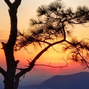 �zӰ��������ɽ��ϹεĘ�