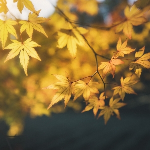 ��ꎽ�(j��ng)�v60�����ů�＾��