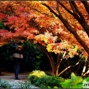 �W(w��ng)�ѷ�����ƬƬ�t�~�Ķ���