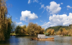 �W����Ϫ��ӛ�����������f�