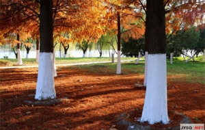 �W�єzӰ���������S�۾G������