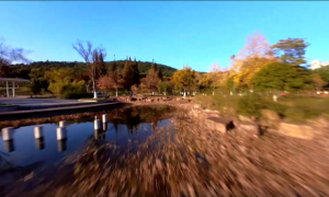 �z��2021������Y����ꎸ�̎�L��