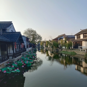 Ԫ������ APP�W�ѷ�������L�