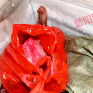 ���:�������⡱�����Ј����@�˱����̣�